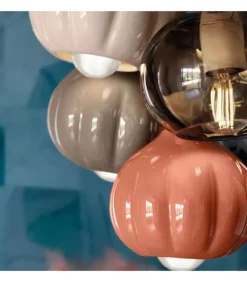 Best FERROLUCE AFOXE BOUQUET |