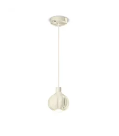 Fashion FERROLUCE AFOXE C2640 |