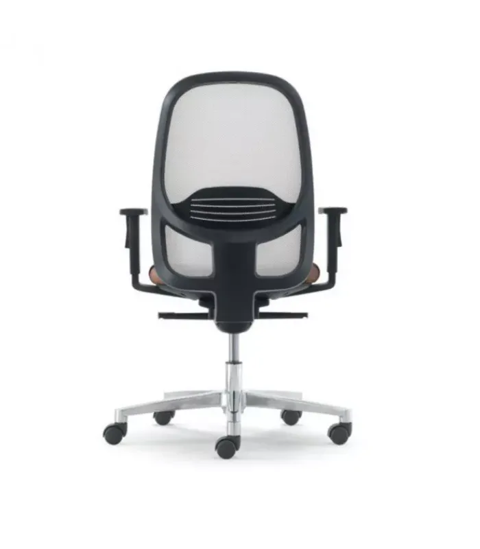 Clearance Olivo & Groppo ANDY NERO |