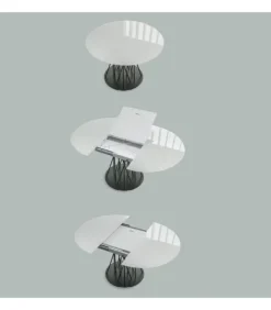 Fashion SEDIT BAMBOO |