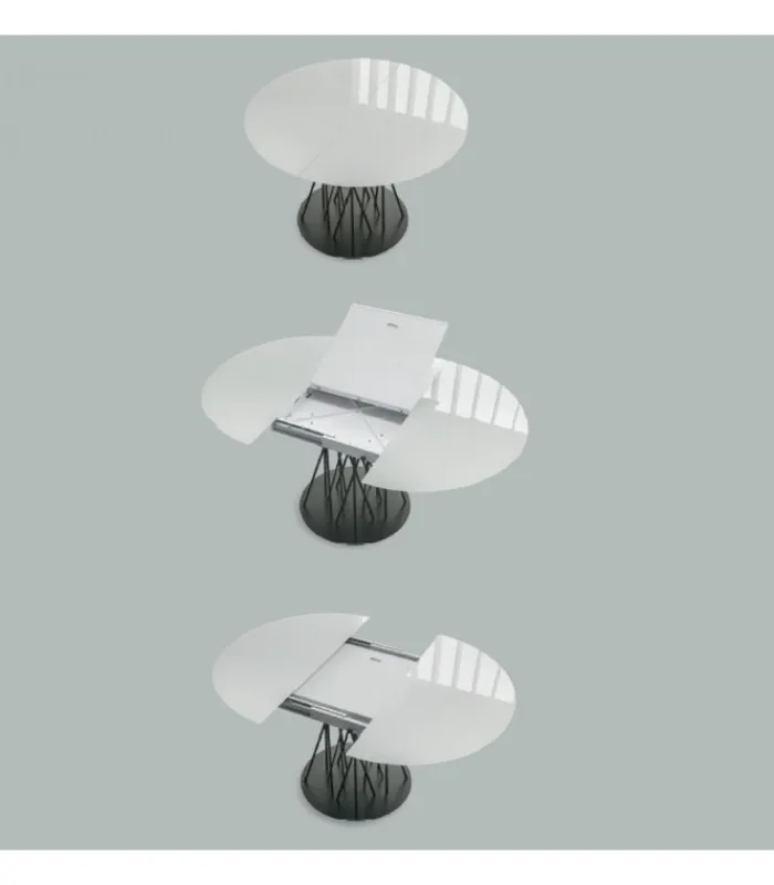 Fashion SEDIT BAMBOO |