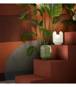 Fashion FERROLUCE BATUCADA |