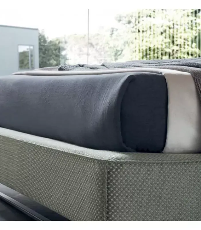 Online FELIS BOWIE KOBE LETTO|