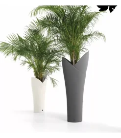 Fashion LYXO CACHE-POT ASSIA PL |