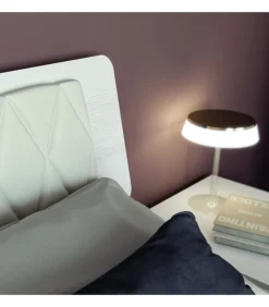 Best SANTA LUCIA CAMERA PTN303 |