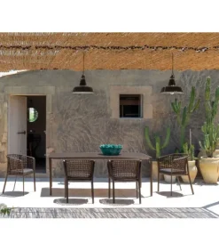 Best EMU CAROUSEL IQ |