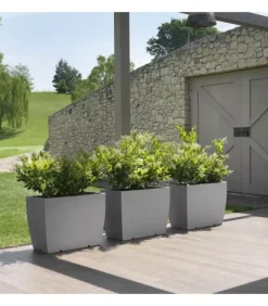 Fashion LYXO CASSETTA GAIA |