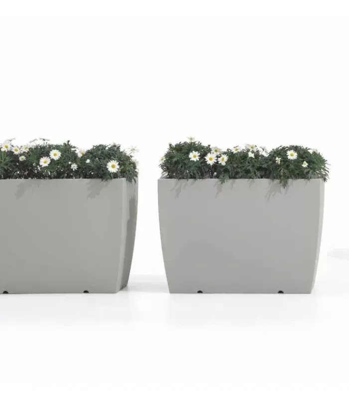 Fashion LYXO CASSETTA GAIA |