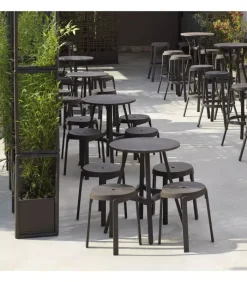 Online NARDI COMBO |