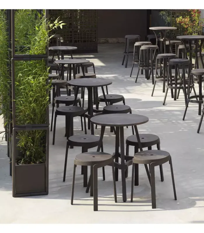 Online NARDI COMBO |