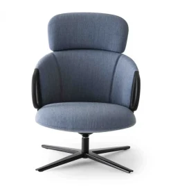 New GABER CUCARACHA HB |