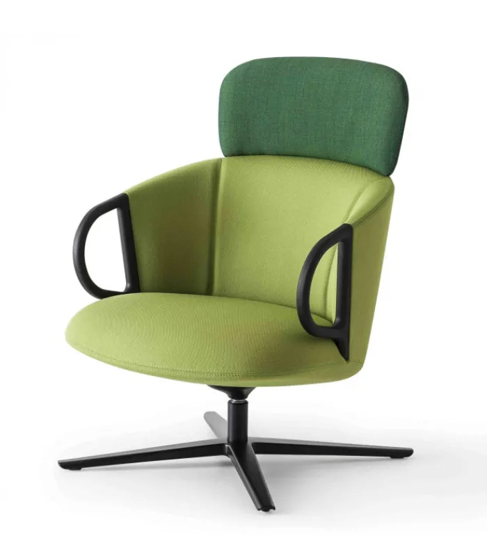 New GABER CUCARACHA HB |