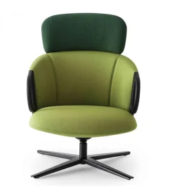 New GABER CUCARACHA HB |