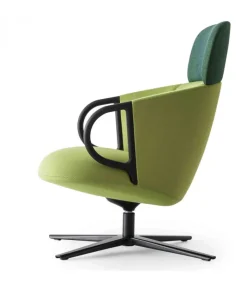 New GABER CUCARACHA HB |