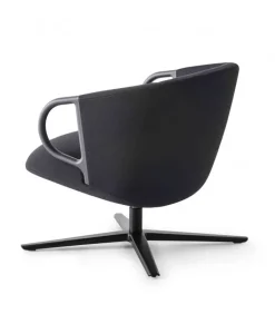 Online GABER CUCARACHA LB |