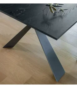 New ALTACOM Delta 160 allungabile |