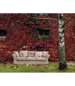 Best SAMOA DIVANI Elite |