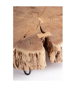 Hot CONTEMPORARY STYLE ENEAS TREE