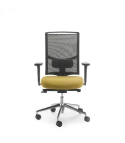 Sale Olivo & Groppo EVO |