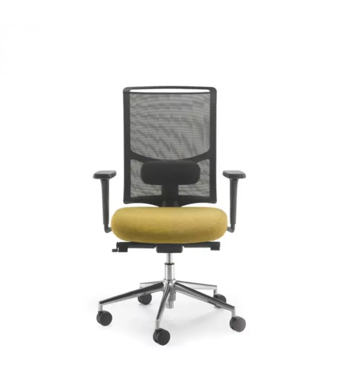 Sale Olivo & Groppo EVO |