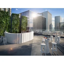 Best PLUST FROZEN CORNER |