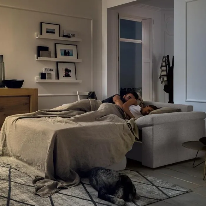 Outlet FELIS HOUSE |