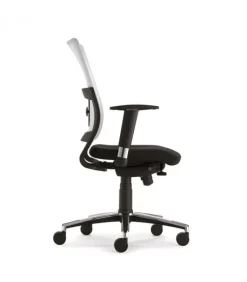 Online Olivo & Groppo JOY SCHIENALE ALTO |