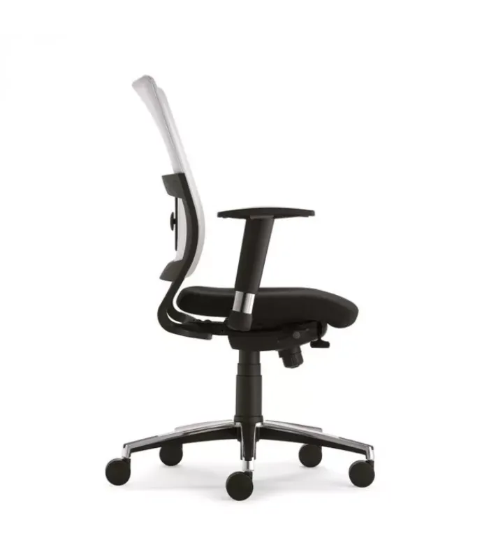 Online Olivo & Groppo JOY SCHIENALE ALTO |