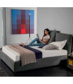 Clearance FELIS LUIS EKO |