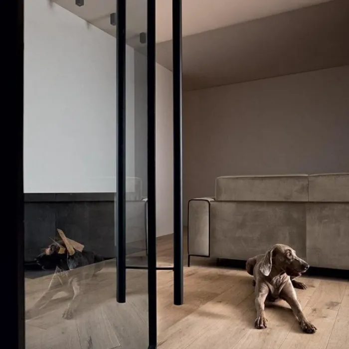 Sale FELIS MADISON |