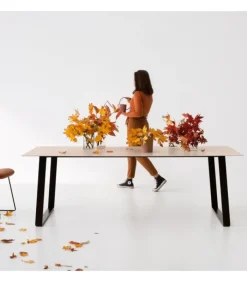 Hot POINT HOUSE OTTO |