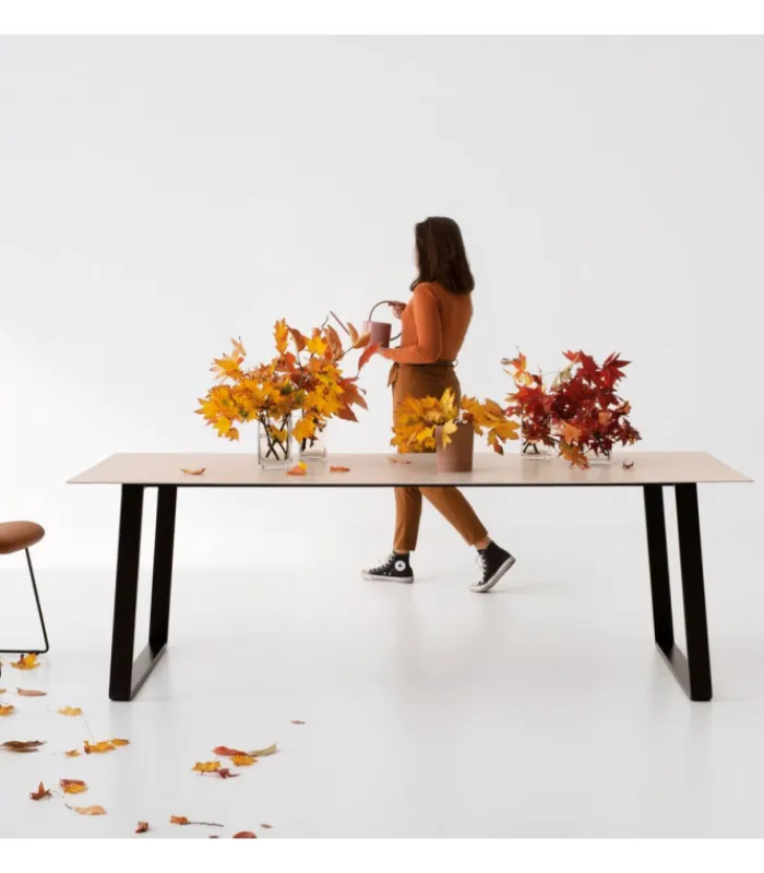 Hot POINT HOUSE OTTO |