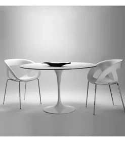 Fashion GABER SATURNO |