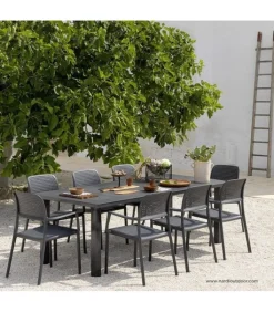 New NARDI Sedia Bora con braccioli|