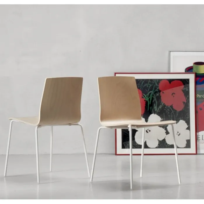 Clearance SCAB DESIGN SET 2 ALICE WOOD 2845 | SCAB