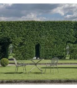 Hot EMU SET 4 RONDA PL |