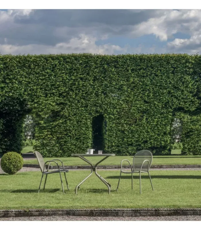 Hot EMU SET 4 RONDA PL |