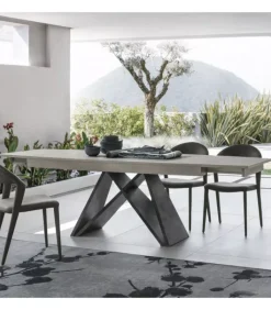 Fashion TARGET POINT SIGMA 180 BOTTICELLA |