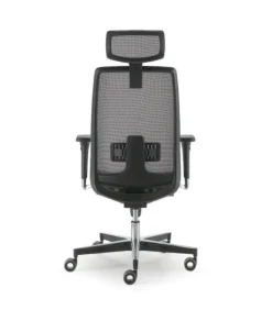 Sale Olivo & Groppo STRATOS MUST |