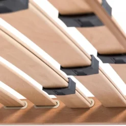 Hot ERGOGREEN RETI SUPREMA | ERGOGREEN