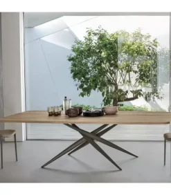 Fashion SEDIT TIFFANY |