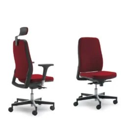 Online Olivo & Groppo TRATTO NERO |