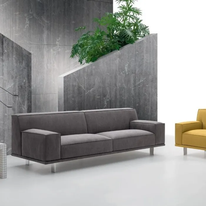 Clearance FELIS YOUNG |