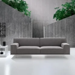 Clearance FELIS YOUNG |