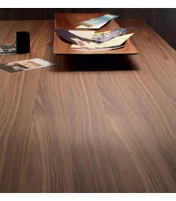 Discount COM.P.AR ZED |